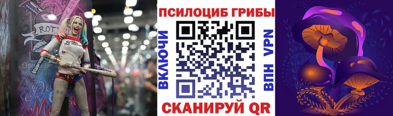Галлюциногенные грибы Psilocybine cubensis  купить закладку  Ачхой-Мартан 